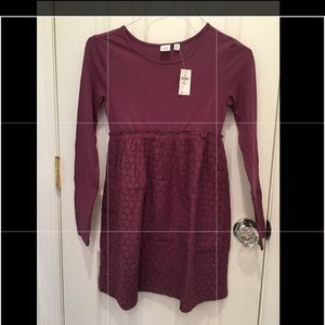 Girls long sleeve purple GAP dress w pointelle XL